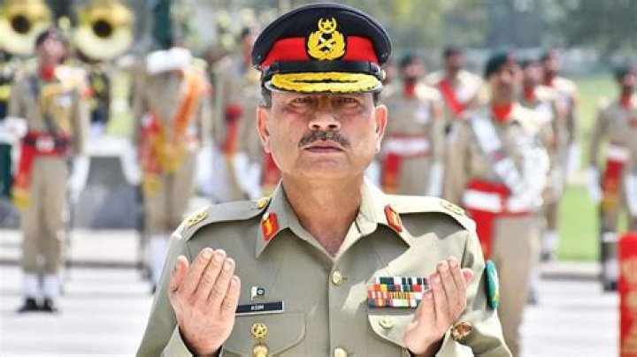 Asim Wali Net Worth