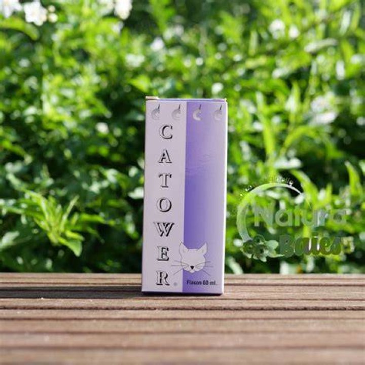 CATOWER