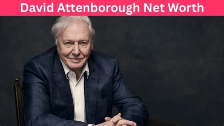 David Gersh Net Worth
