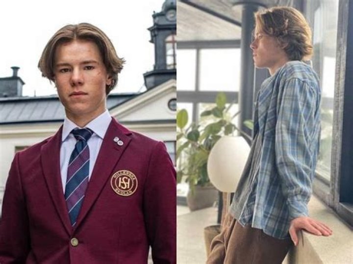 Edvin Ryding Net Worth