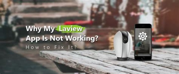 How to Fix Laview App Not Working Issue? - SarkariResult