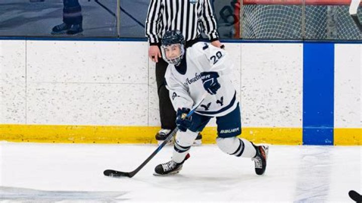 Jim Collins (ice hockey)