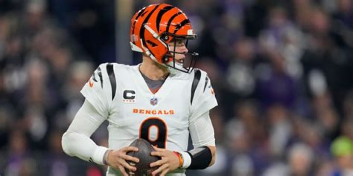 Joe Burrow sidelined for the season: Who will step in as the Cincinnati Bengals' new quarterback? - SarkariResult