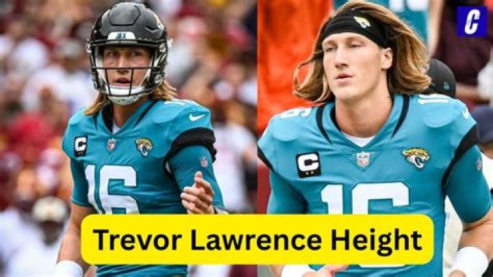 Lawrence Donini Net Worth