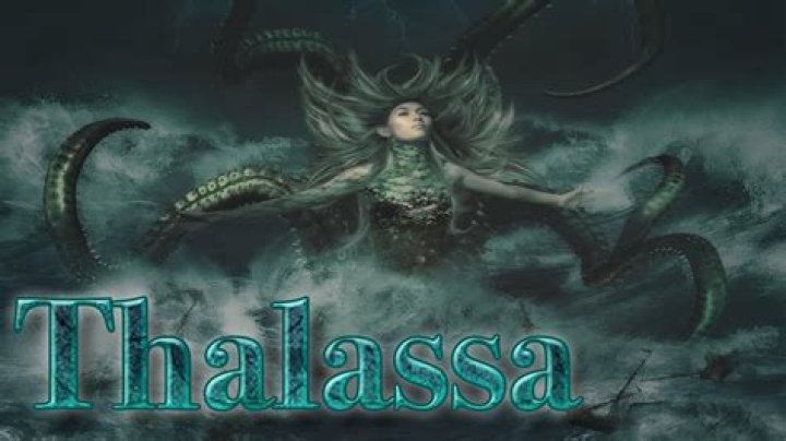 Thalassa Balanis Net Worth