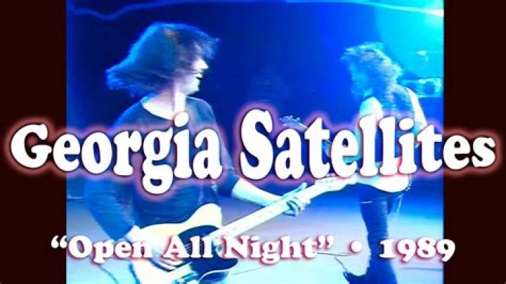 The Georgia Satellites Net Worth