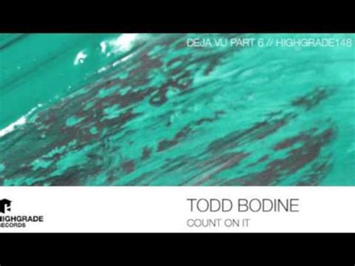 Todd Bodine Net Worth